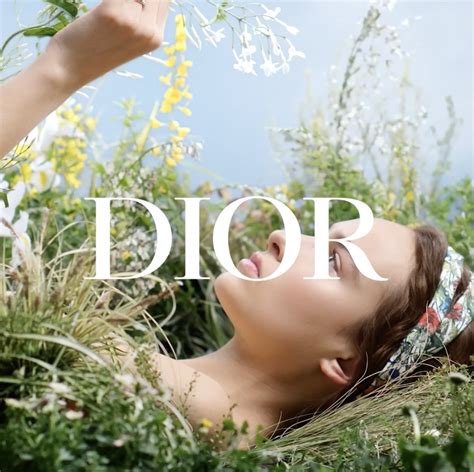 dior environmental sustainability|dior sustainability efforts.